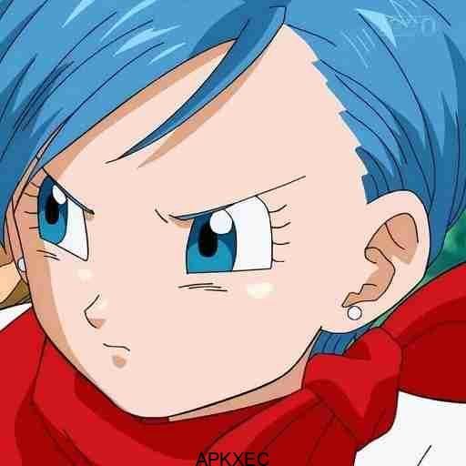 Bulma Adventure 4