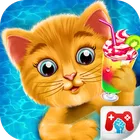 Kitty Pool Party
