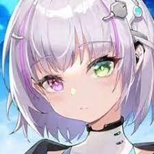 Reisa Kusuguri Taenmiprofiletilim