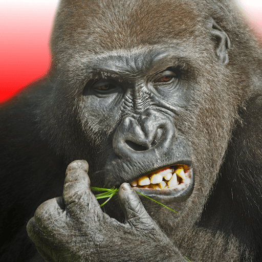 flying gorilla