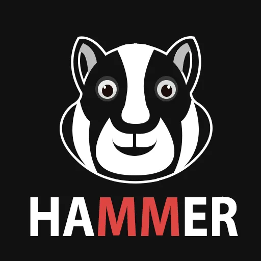 Hammer Hamtser Vpn Proxy